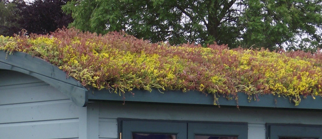 living green roof by Harrowden Turf