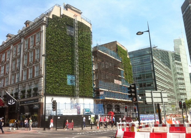 urban greening in Fenchurch Street, London
