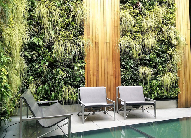 interior living wall installed by Scotscape