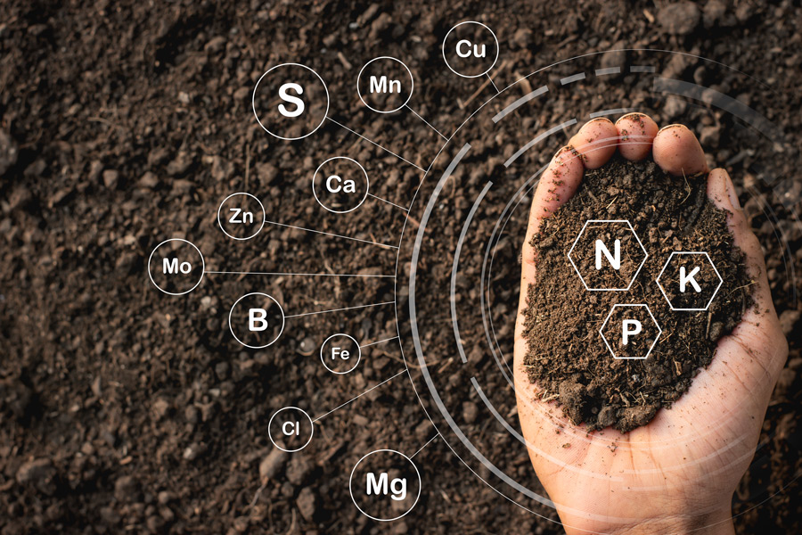 diagram showing nutrients present within natural soil