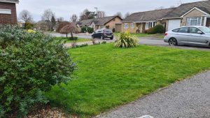 driveway bordered by lawn